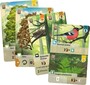 FORET MIXTE - Cartes