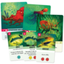 KELP - Cartes