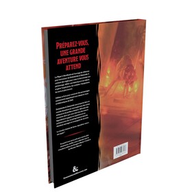 DUNGEONS & DRAGONS 5 - MANUEL DES JOUEURS (EDITION WOTC)