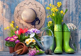 PUZZLE (1000 PIECES) - READY FOR THE GARDEN - Couverture